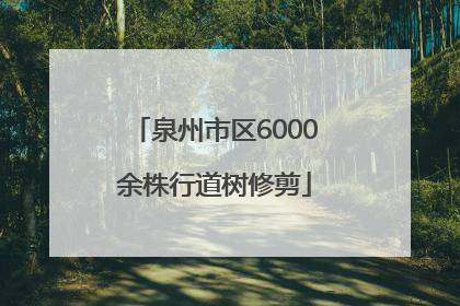 泉州市区6000余株行道树修剪