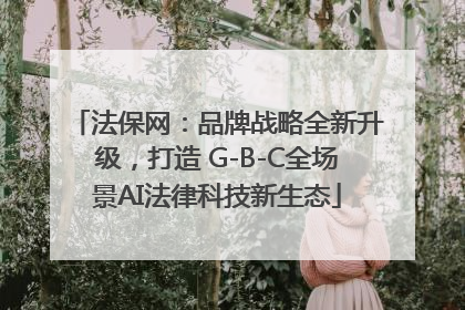 法保网：品牌战略全新升级，打造 G-B-C全场景AI法律科技新生态