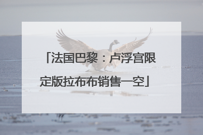 法国巴黎：卢浮宫限定版拉布布销售一空