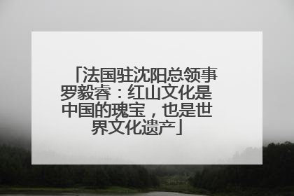 法国驻沈阳总领事罗毅睿：红山文化是中国的瑰宝，也是世界文化遗产