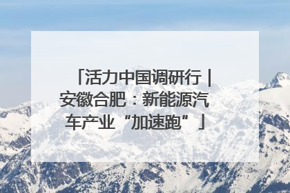 活力中国调研行｜安徽合肥：新能源汽车产业“加速跑”