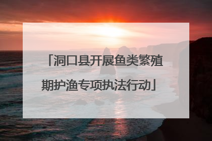 洞口县开展鱼类繁殖期护渔专项执法行动