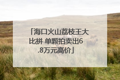 海口火山荔枝王大比拼 单颗拍卖出6.8万元高价