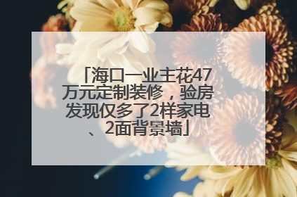 海口一业主花47万元定制装修，验房发现仅多了2样家电、2面背景墙