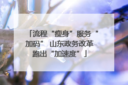 流程“瘦身”服务“加码” 山东政务改革跑出“加速度”
