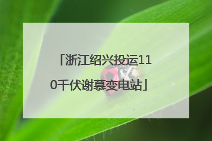 浙江绍兴投运110千伏谢慕变电站