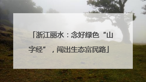 浙江丽水：念好绿色“山字经”，闯出生态富民路