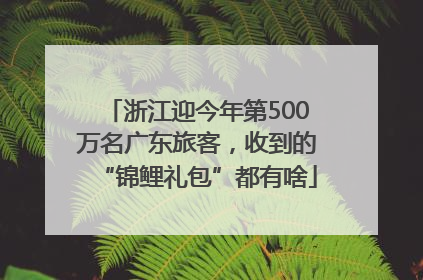 浙江迎今年第500万名广东旅客，收到的“锦鲤礼包”都有啥