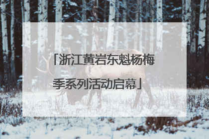 浙江黄岩东魁杨梅季系列活动启幕