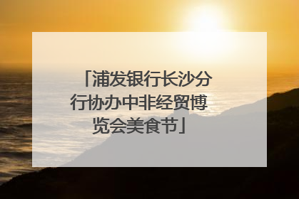 浦发银行长沙分行协办中非经贸博览会美食节