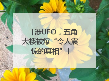 涉UFO，五角大楼被爆“令人震惊的真相”