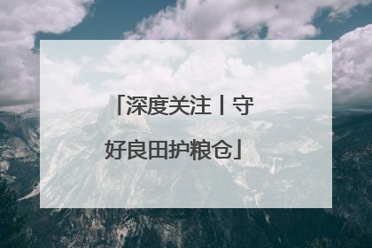 深度关注丨守好良田护粮仓