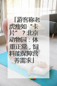 游客称老虎瘦如“卡片”？北京动物园：体重正常，饲料能保障营养需求