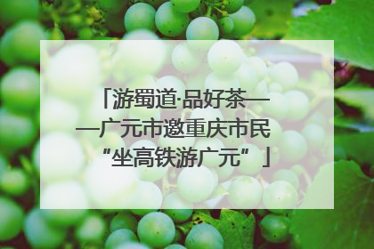 游蜀道·品好茶——广元市邀重庆市民“坐高铁游广元”