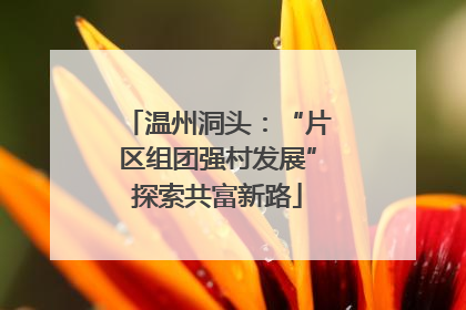 温州洞头：“片区组团强村发展”探索共富新路
