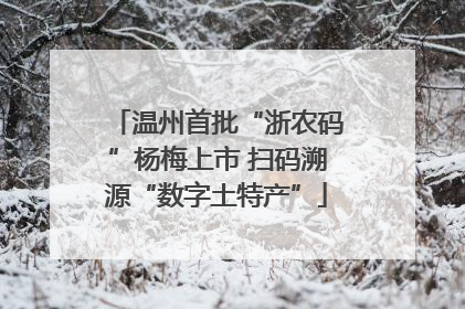 温州首批“浙农码”杨梅上市 扫码溯源“数字土特产”