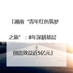 湖南“青年红色筑梦之旅”：8年深耕基层创造效益近5亿元