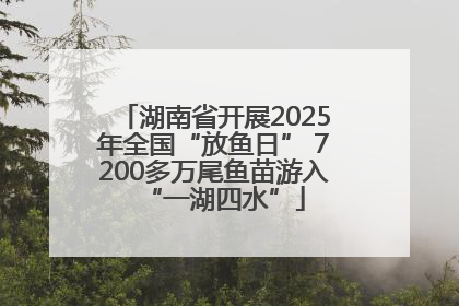 湖南省开展2025年全国“放鱼日” 7200多万尾鱼苗游入“一湖四水”