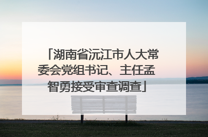 湖南省沅江市人大常委会党组书记、主任孟智勇接受审查调查
