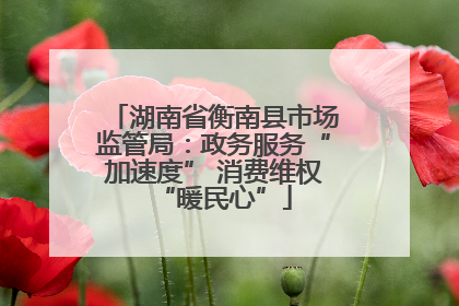 湖南省衡南县市场监管局：政务服务“加速度” 消费维权“暖民心”