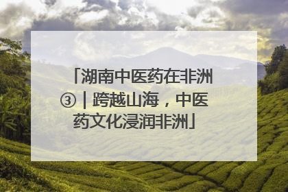 湖南中医药在非洲③｜跨越山海，中医药文化浸润非洲