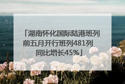 湖南怀化国际陆港班列前五月开行班列481列 同比增长45%
