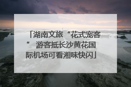 湖南文旅“花式宠客” 游客抵长沙黄花国际机场可看湘味快闪