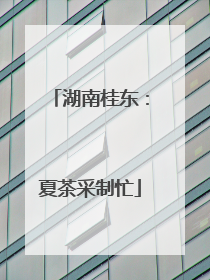 湖南桂东：夏茶采制忙