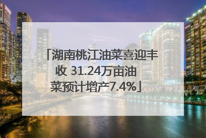 湖南桃江油菜喜迎丰收 31.24万亩油菜预计增产7.4%