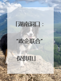 湖南洞口：“政企联合”保供电