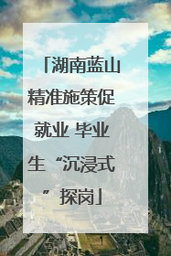 湖南蓝山精准施策促就业 毕业生“沉浸式”探岗