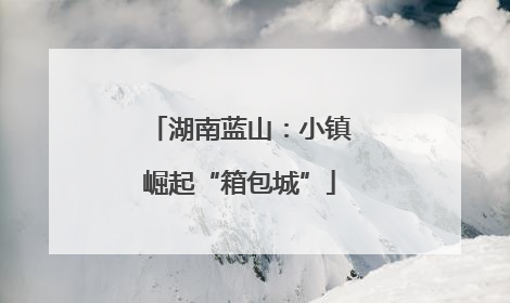 湖南蓝山：小镇崛起“箱包城”