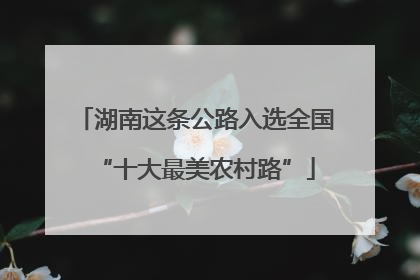 湖南这条公路入选全国“十大最美农村路”