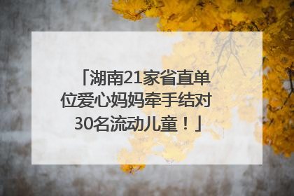 湖南21家省直单位爱心妈妈牵手结对30名流动儿童！