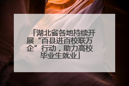 湖北省各地持续开展“百县进百校联万企”行动，助力高校毕业生就业