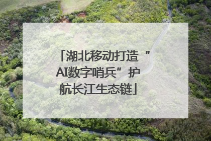 湖北移动打造“AI数字哨兵”护航长江生态链