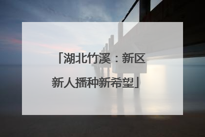 湖北竹溪：新区新人播种新希望