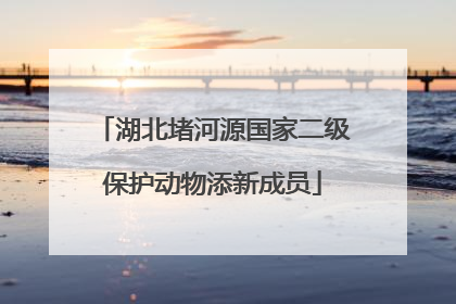 湖北堵河源国家二级保护动物添新成员