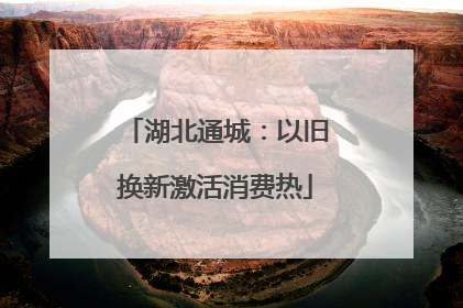 湖北通城：以旧换新激活消费热