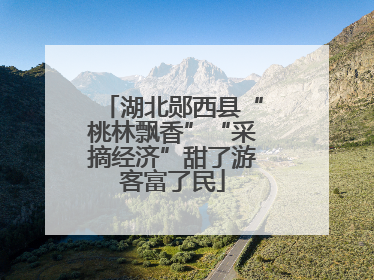 湖北郧西县“桃林飘香”“采摘经济”甜了游客富了民