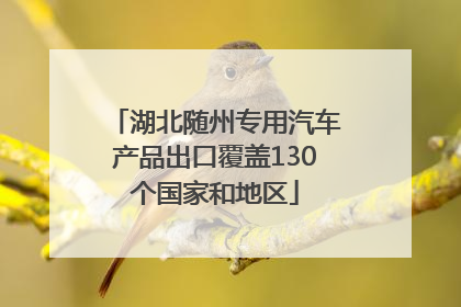 湖北随州专用汽车产品出口覆盖130个国家和地区