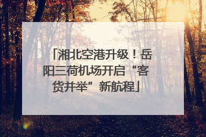 湘北空港升级！岳阳三荷机场开启“客货并举”新航程