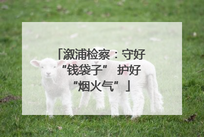 溆浦检察：守好“钱袋子” 护好“烟火气”