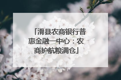 滑县农商银行普惠金融一中心：农商护航粮满仓