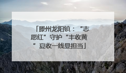 滕州龙阳镇：“志愿红”守护“丰收黄”夏收一线显担当