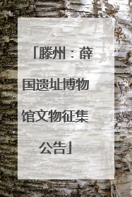 滕州：薛国遗址博物馆文物征集公告