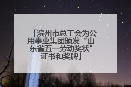 滨州市总工会为公用事业集团颁发“山东省五一劳动奖状”证书和奖牌
