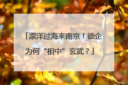 漂洋过海来南京！德企为何“相中”玄武？