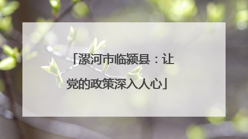 漯河市临颍县：让党的政策深入人心