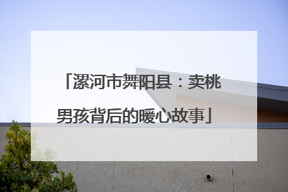 漯河市舞阳县：卖桃男孩背后的暖心故事